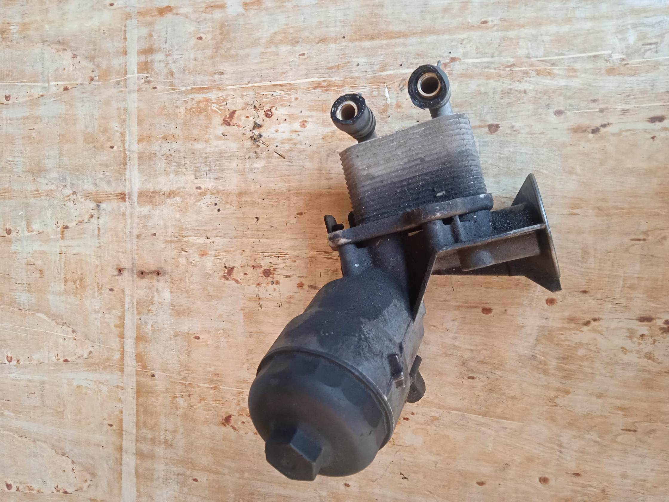 Ammortizzatore ant. sx.